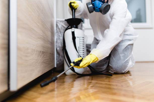 Best Mosquito Control Services  in Strasburg, VA