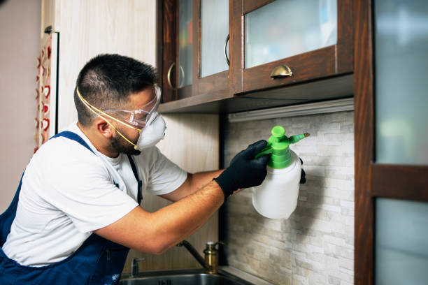 Best Rat Extermination Near Me  in Strasburg, VA