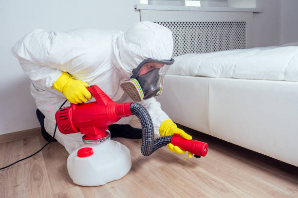 Best Affordable Pest Control Services  in Strasburg, VA