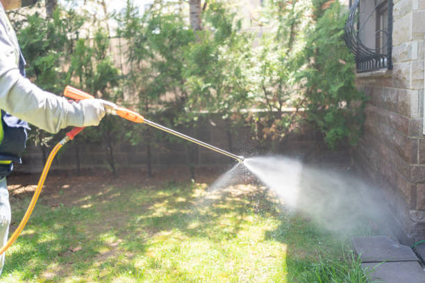 Best Termite Control Services  in Strasburg, VA