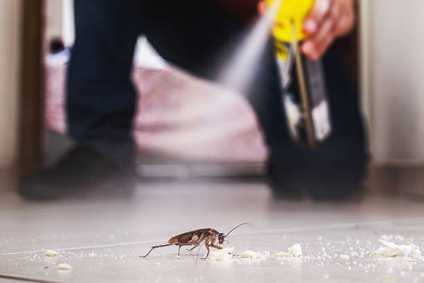 Professional Pest Control in Strasburg, VA