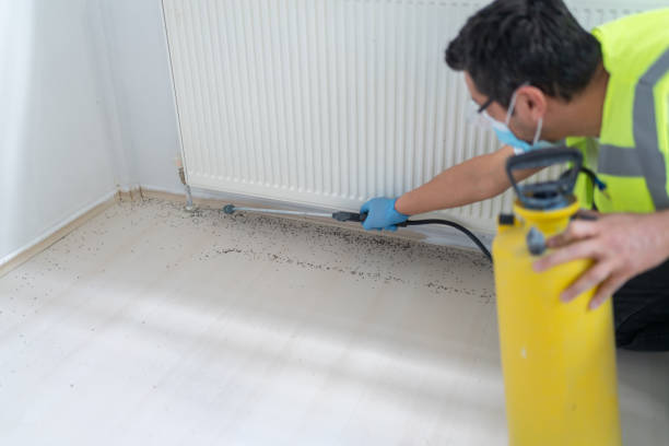 Best Exterminator Services  in Strasburg, VA